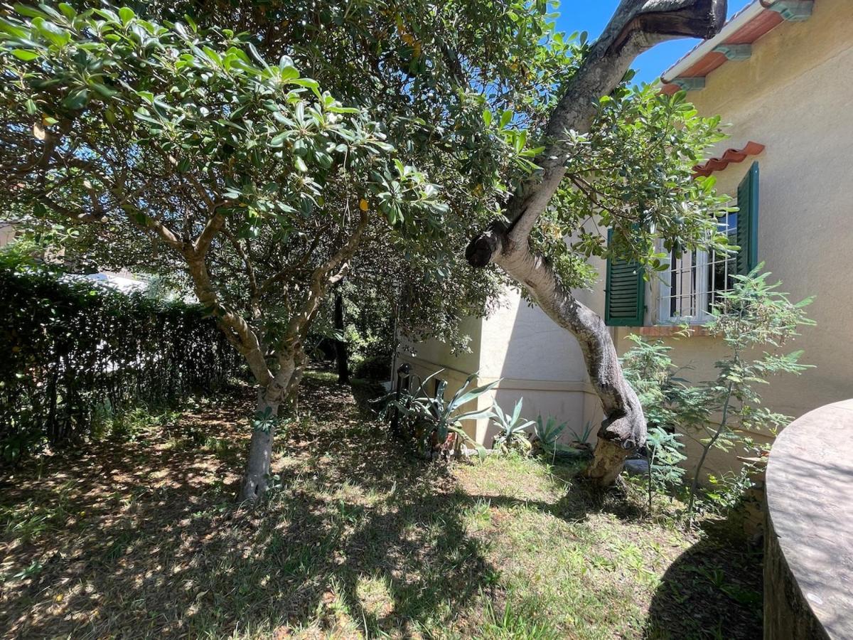 Villa Delle Acacie Pisa