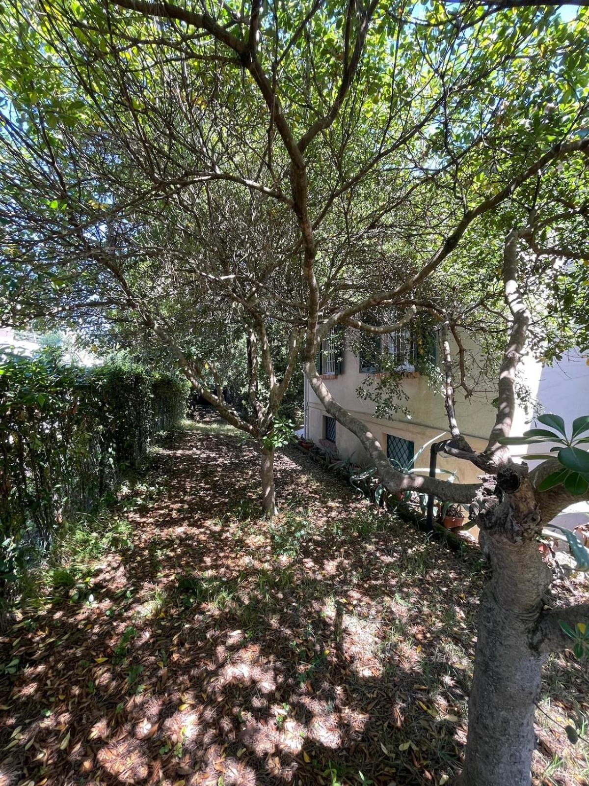Delle Acacie Villa *